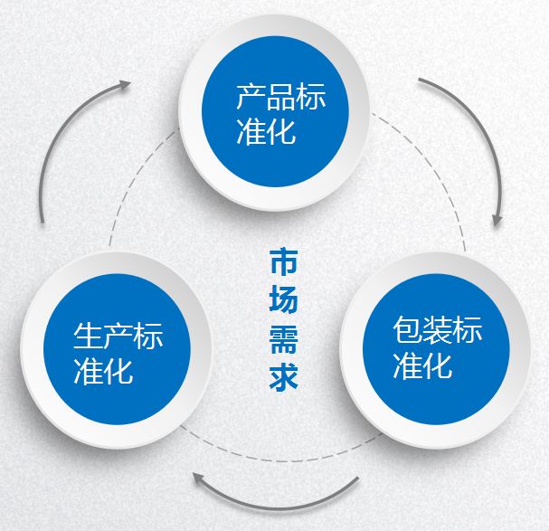 草莓视频在线观看完整加盟