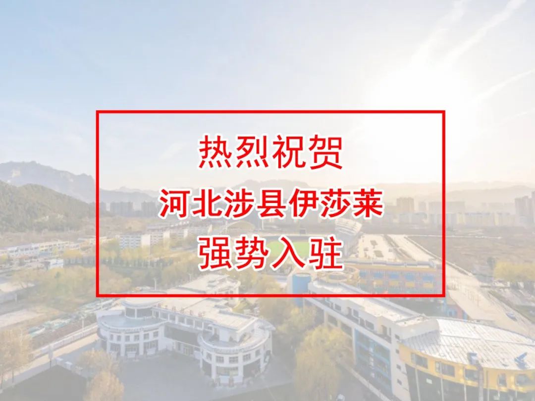 河北窗帘加盟-河北邯郸涉县草莓视频在线观看完整窗帘专卖店